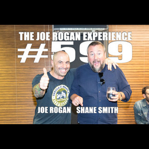 bpc 157 joe rogan episode 502 - Dr. Rhonda Patrick - The Joe Rogan Experience