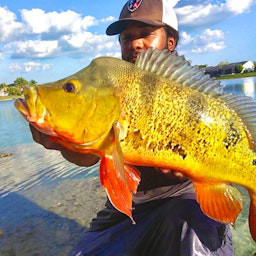 Monster Mike Fishing