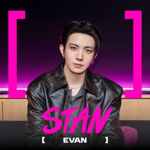 STAN:A cover art