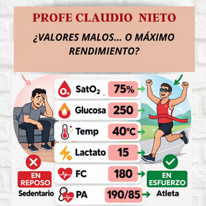 l carnitina funciona realmente L-carnitina: mecanismo y funcionamiento La L-Carnitina quema grasa? ,