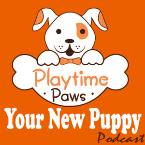 Your New Puppy: Dog Training and Dog Behavior Lessons to Help You Turn Your New Puppy into a Well-Behaved Dog