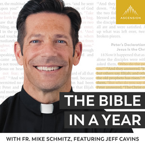 The Bible in a Year (with Fr. Mike Schmitz) podcast cover