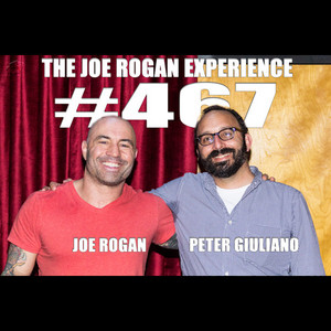 502 - Dr. Rhonda Patrick - The Joe Rogan Experience