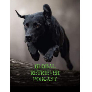 Global Retriever Podcast | Podcast on Spotify