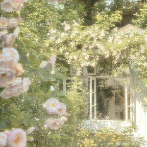 ☆Liz's Library (2.0)☆