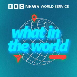 6｜World's largest child porn site operator walks free...?｜Dark ...