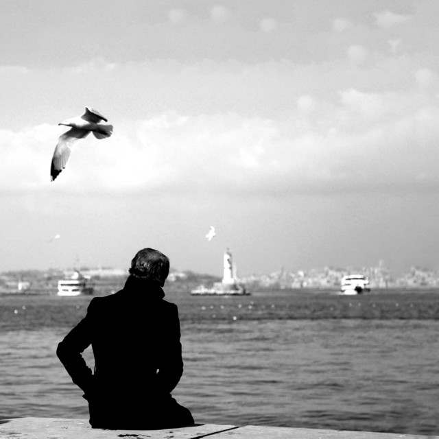 صوت البحر مع العصافير | للاسترخاء وتهدئة الاعصاب | اصوات الطبيعة