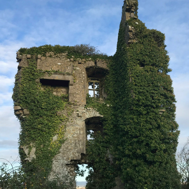 Growing community green space in Limerick - Local Voices for ...