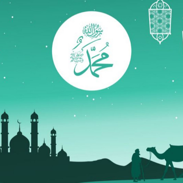 فصل | فيما وقع من الآيات ليلة مولده عليه الصلاة والسلام.