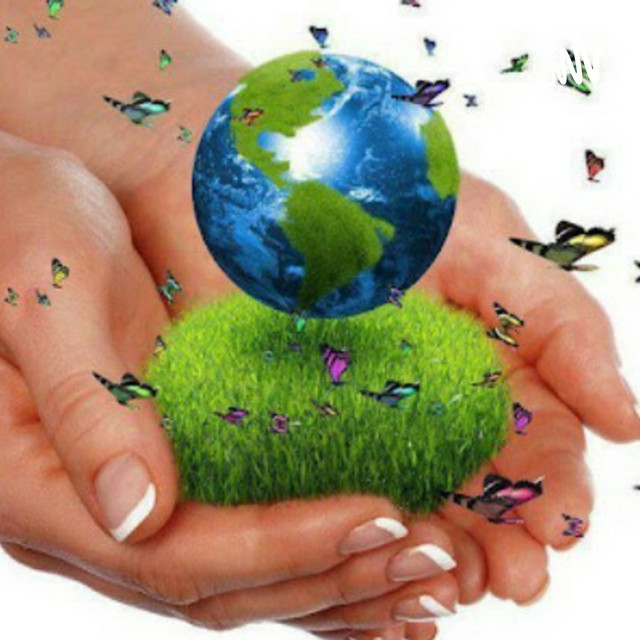 La Importancia Del Medio Ambiente | Podcast on Spotify