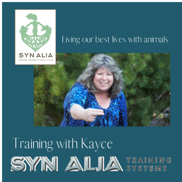 Training With Kayce | Podcast on Spotify
