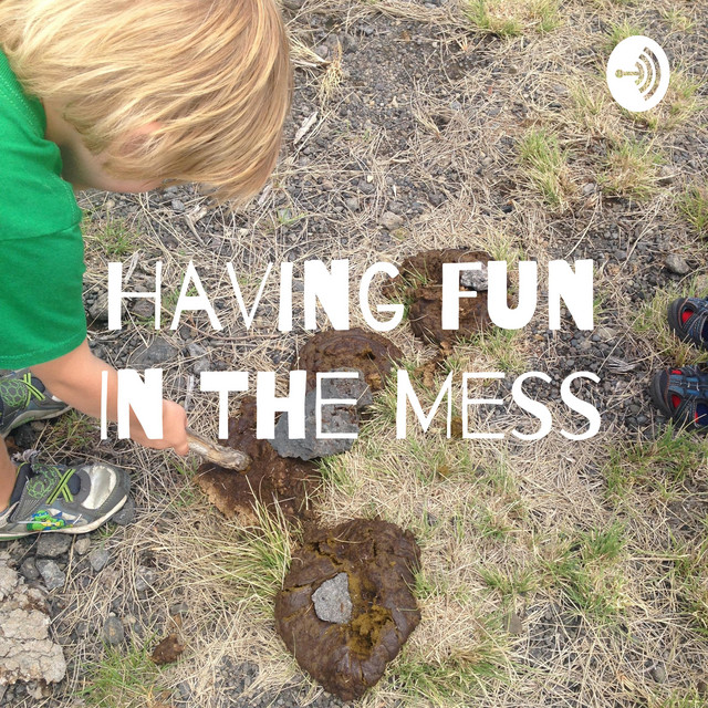 Having Fun In The Mess | Podcast on Spotify