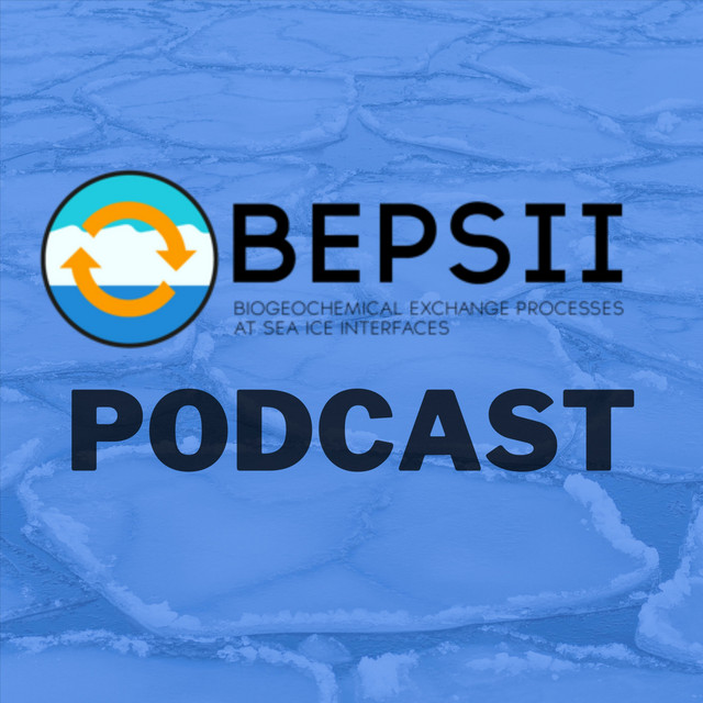 BEPSII Podcast: Sea Ice Research, Studies, and Scientists | Podcast on ...