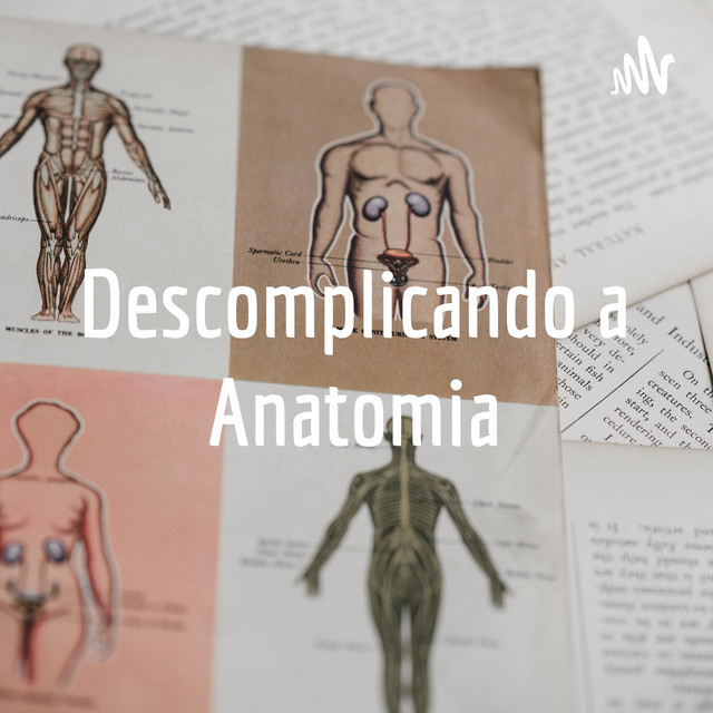 Descomplicando a Anatomia podcast artwork