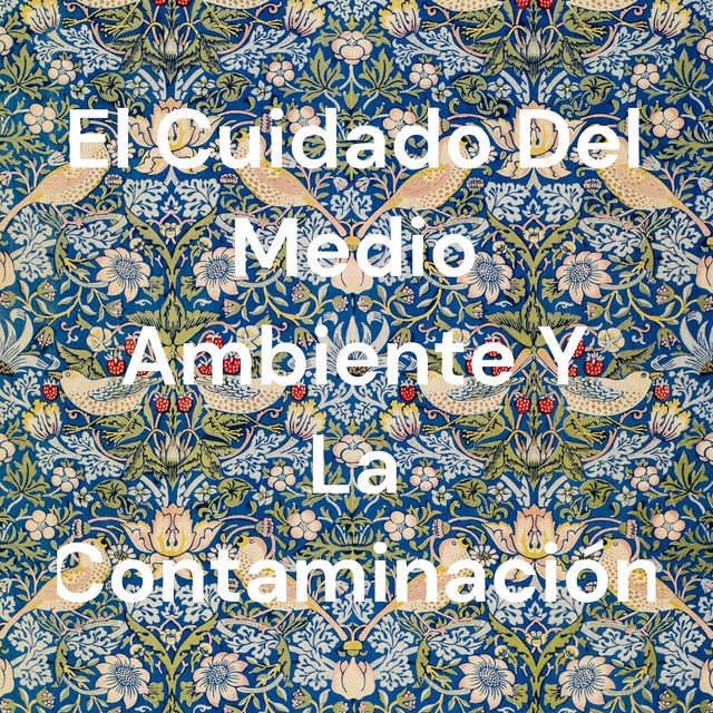 El Cuidado Del Medio Ambiente Y La Contaminación | Podcast on Spotify