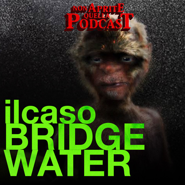Il Caso del Triangolo di Bridgewater (Patreon Exclusive)