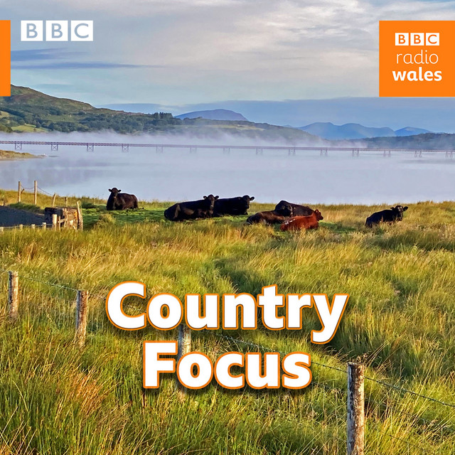 Country Focus cover art