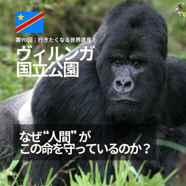第90回】ヴィルンガ国立公園（コンゴ民主共和国）｜なぜ