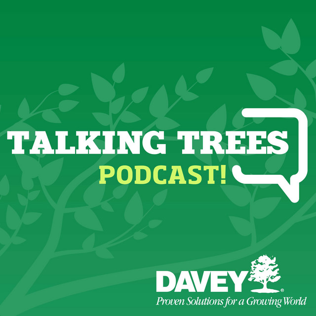 Talking Trees with Davey Tree | Podcast on Spotify