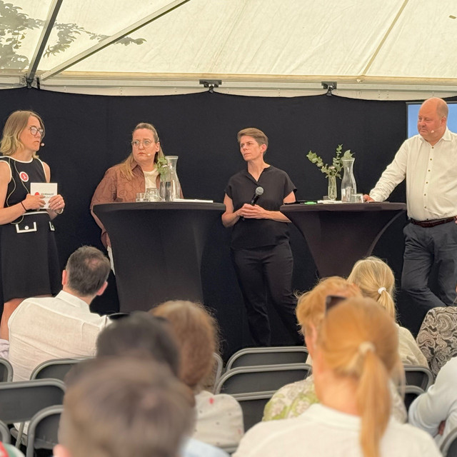 Almedalen 2025: How do we get the tech giants to pay for journalism?