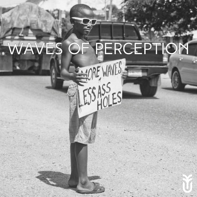 Waves of Perception | Podcast on Spotify