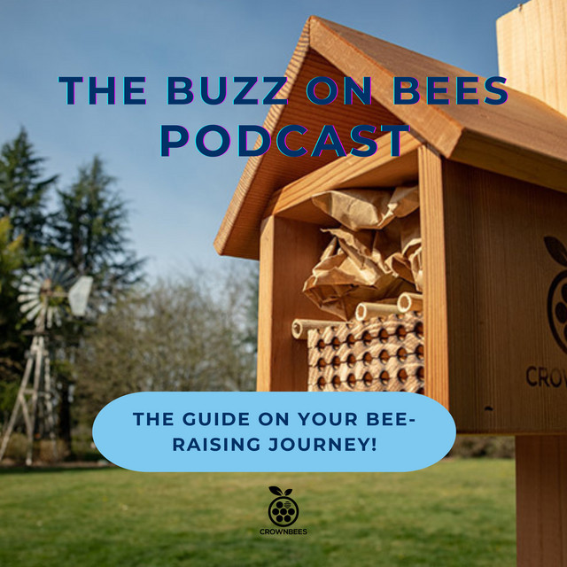 The Buzz On Bees | Podcast on Spotify