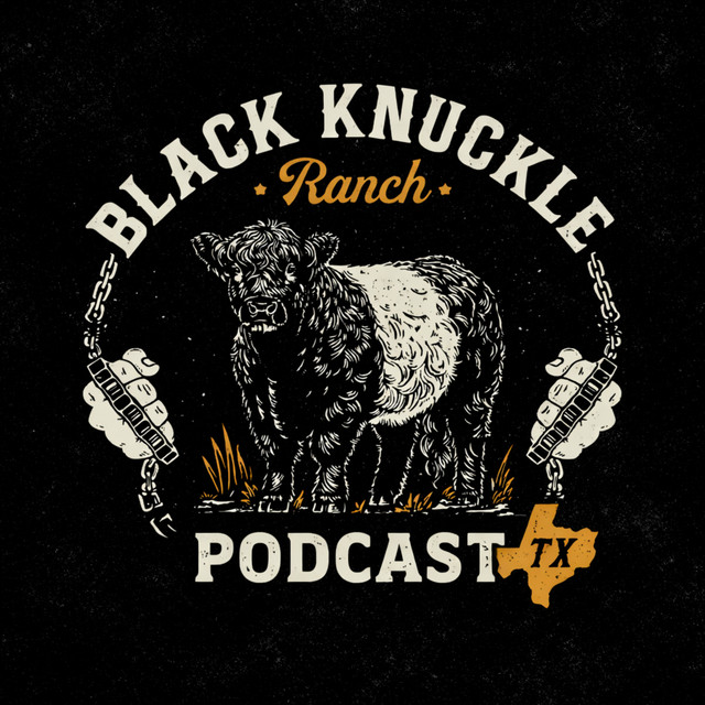 Ep 2: | How Horses Are Handled Day-to-Day (Not Just Ridden) - Black ...