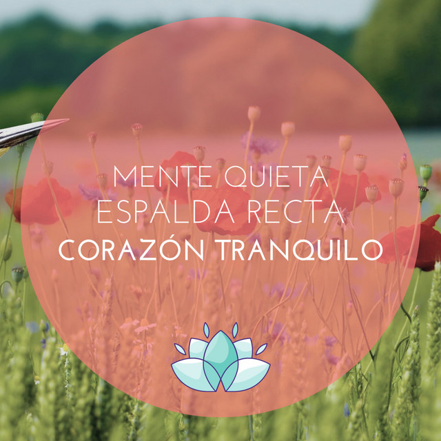 Meditación guiada para calmar la ANSIEDAD y ESTRÉS - Corazón Tranquilo ...
