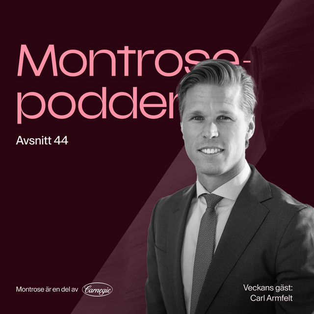 Tin Fonders Carl Armfelt om teknikbolagens renässans och den stora Europa-rotationen