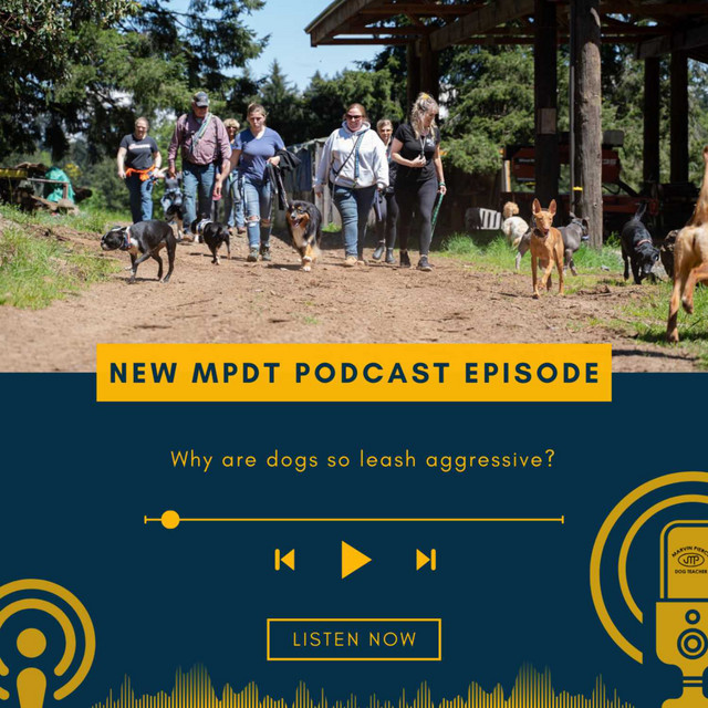 Marvin Pierce Dog Teacher | Podcast on Spotify