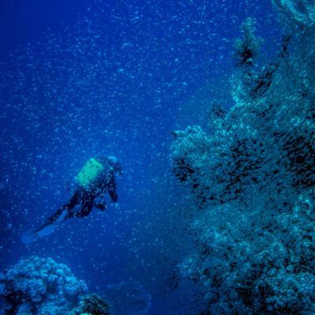 Deep Sea Scuba Dive: ASMR Diving Sounds - 10 Hours Sleep Sound - Sleep ...