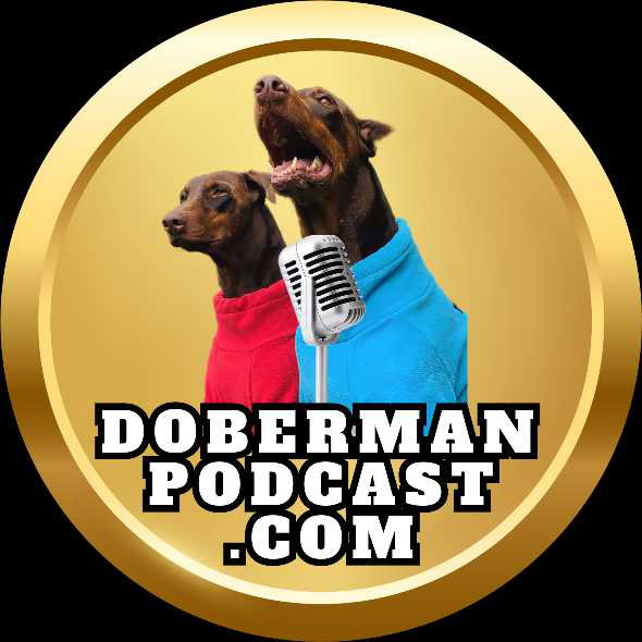 S2 e3 doberman vs socks doberman training and history podcast by