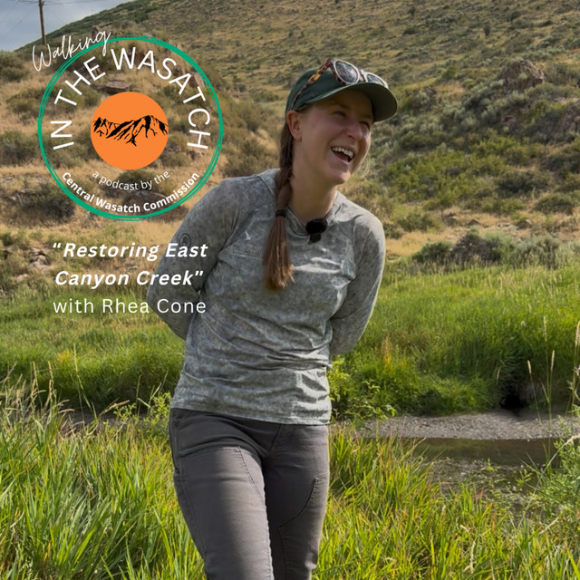 Restoring East Canyon Creek with Rhea Cone - In the Wasatch | Podcast ...