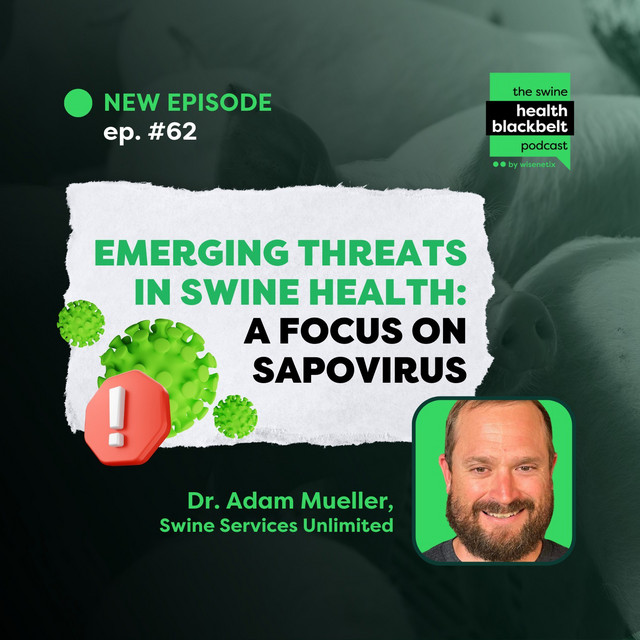 Dr. Adam Mueller: Sapovirus in Swine Health | Ep. 62 - The Swine Health ...