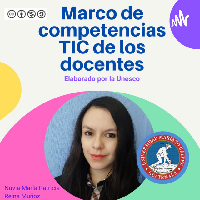 Marco de competencias de los docentes en materia de TIC elaborado por ...