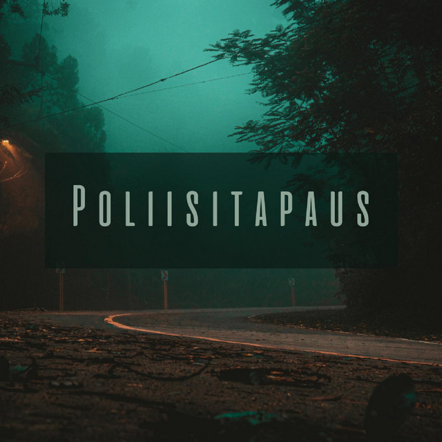 Poliisitapaus