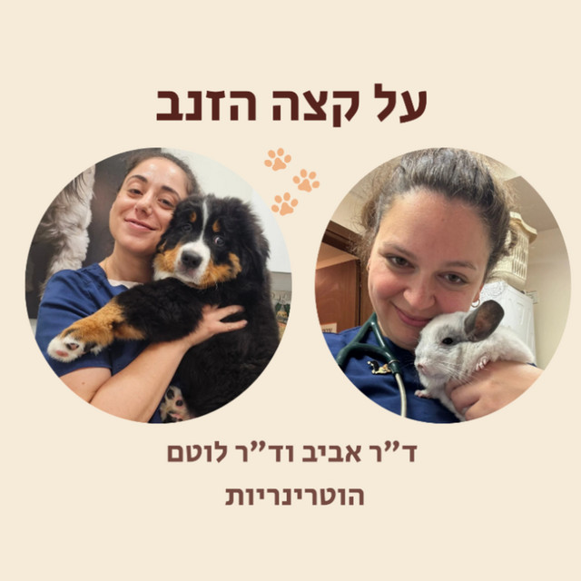 על קצה הזנב