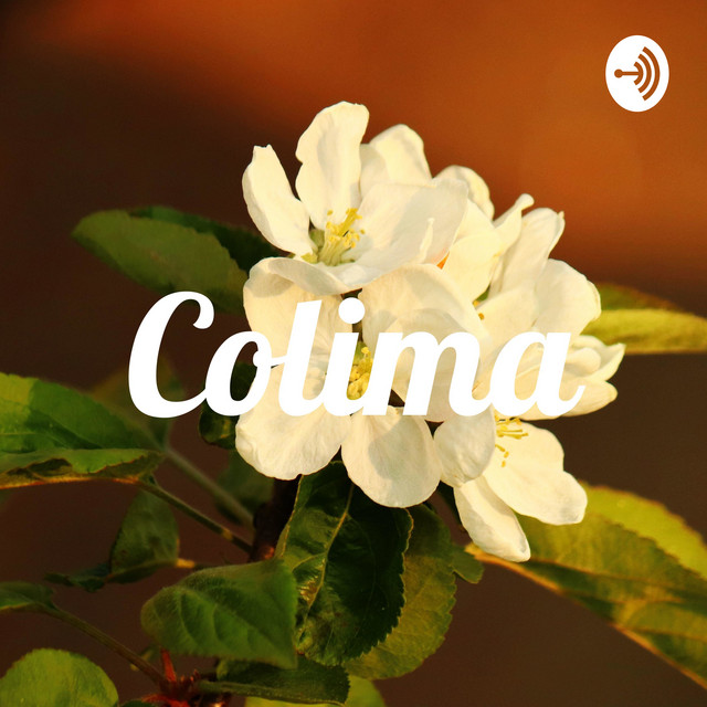 Colima | Podcast on Spotify