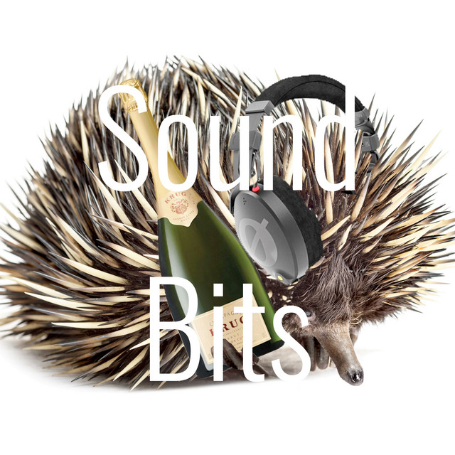 Sound Bits | Podcast on Spotify