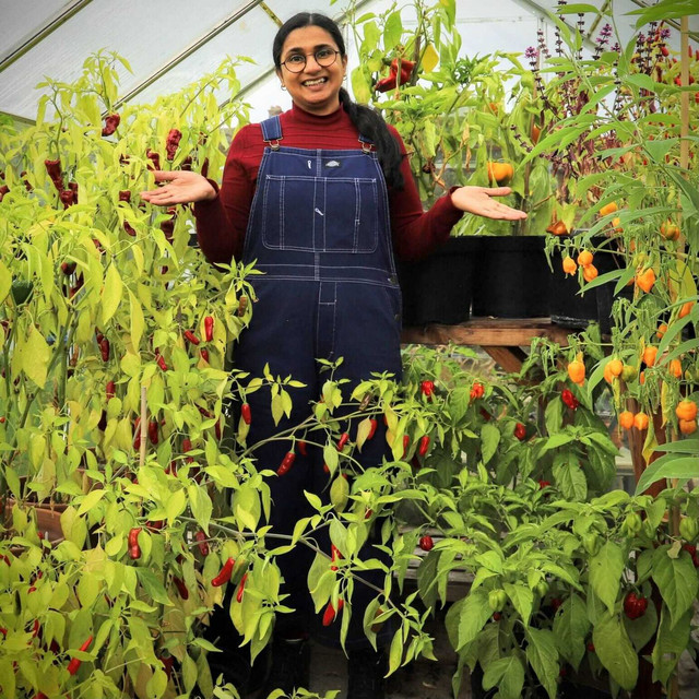 Meet allotment gardener and food writer Rekha Mistry - Fresh From The ...