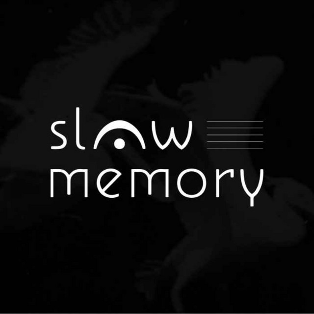 The Slow Memory Podcast | Podcast on Spotify