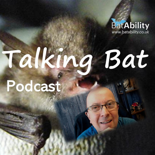 Talking Bat | Podcast on Spotify