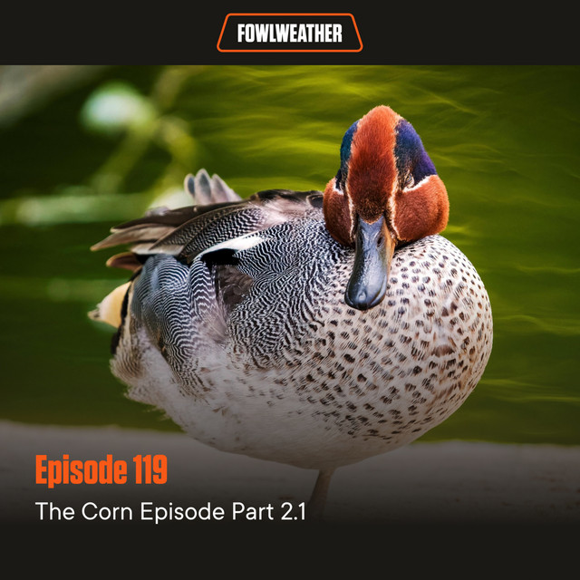 Ep. 119 – The Corn Episode Part 2.1 - FowlWeather Podcast | Podcast on ...