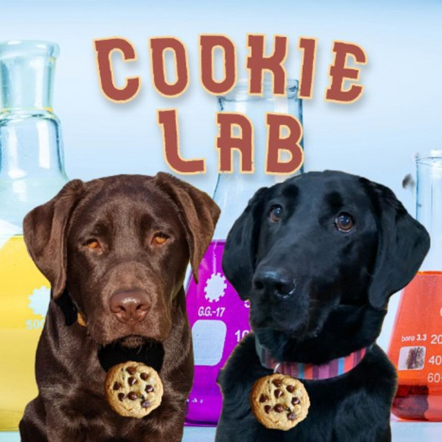 Cookie Lab | Podcast on Spotify