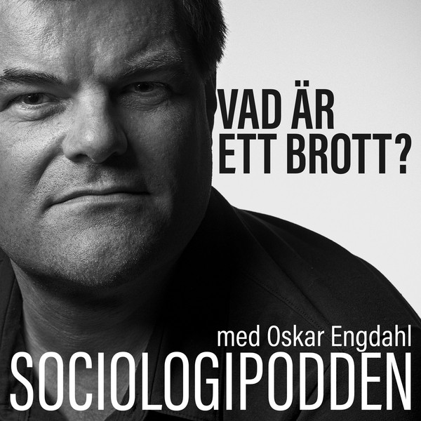 31. Vad är ett brott?