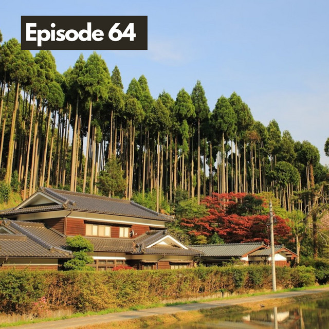 Dear Diary Series: Trump Impacts, Samurai Compound, Artificial ...
