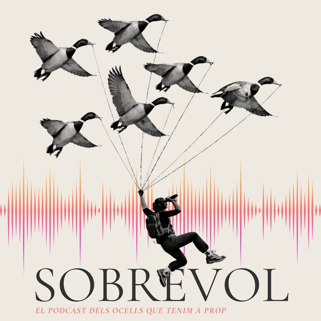 Sobrevol