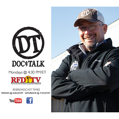 DocTalk | Podcast on Spotify