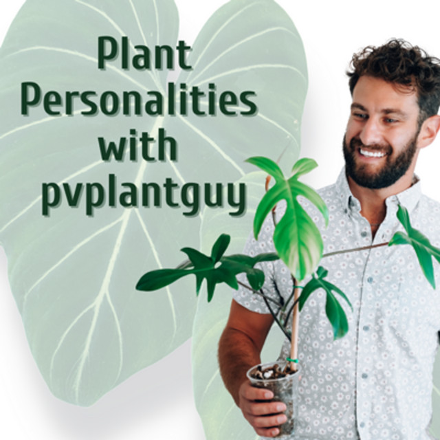 Plant Personalities with PVPlantGuy | Podcast on Spotify