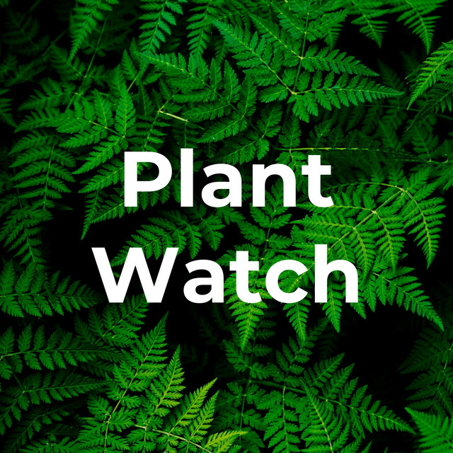 Plant Watch | Podcast on Spotify